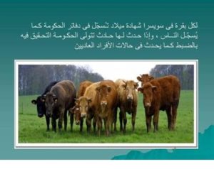 هل تعلم .. 