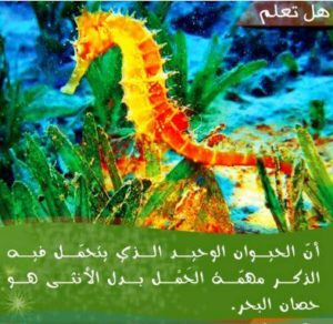 هل تعلم .. 