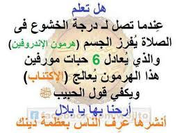 هل تعلم ..
