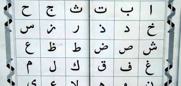 حروف العربية عدد اللغة كم عدد