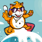 Surfer Cat