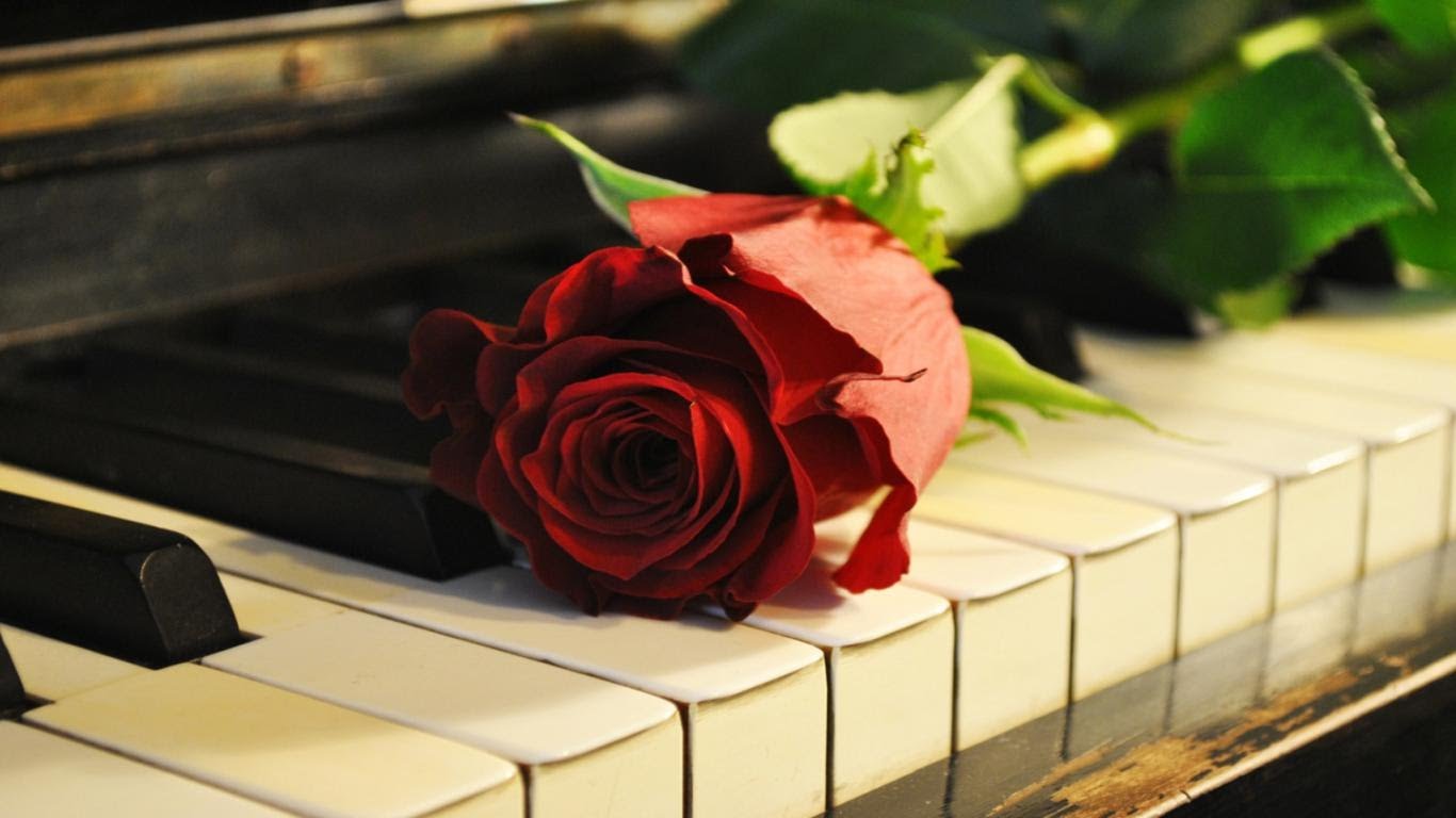 كلمات جميلة عن البيانو والموسيقي الحياة مثل اصابع البيانو