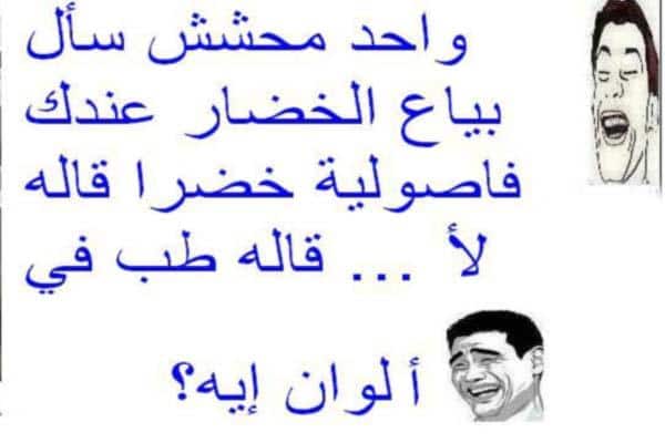 نكت محششين بالصور