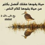 صور كلام حكم و مواعظ مأثورة واقوال عن الحياة جميلة فعلاً