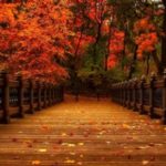 حكم ومواعظ و اقوال مأثورة وامثال وكلمات جميلة ومميزة جداً