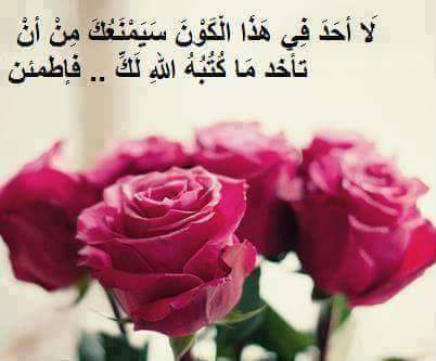 حكم مصورة رائعة