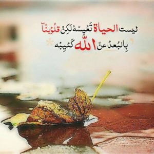 عبر رائعة بالانجليزية منارة سورية