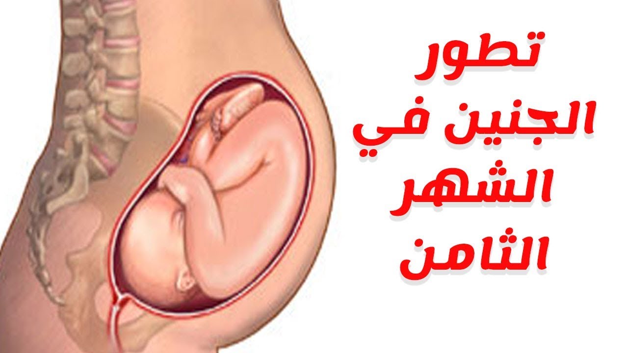 تطور الجنين في الشهر الثامن