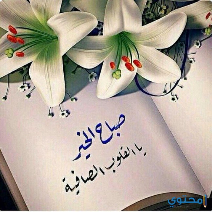 اللهم صباح