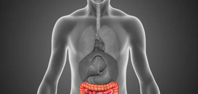 علاج القولون العصبي