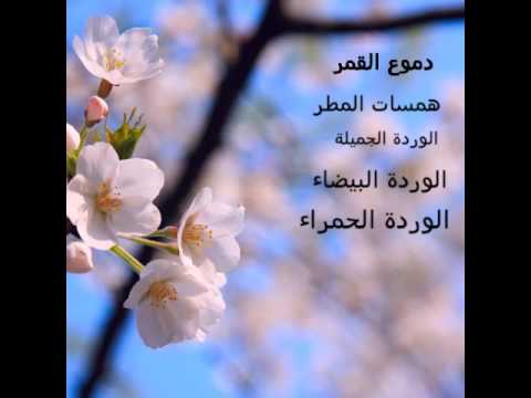 اسماء جميلة للبنات