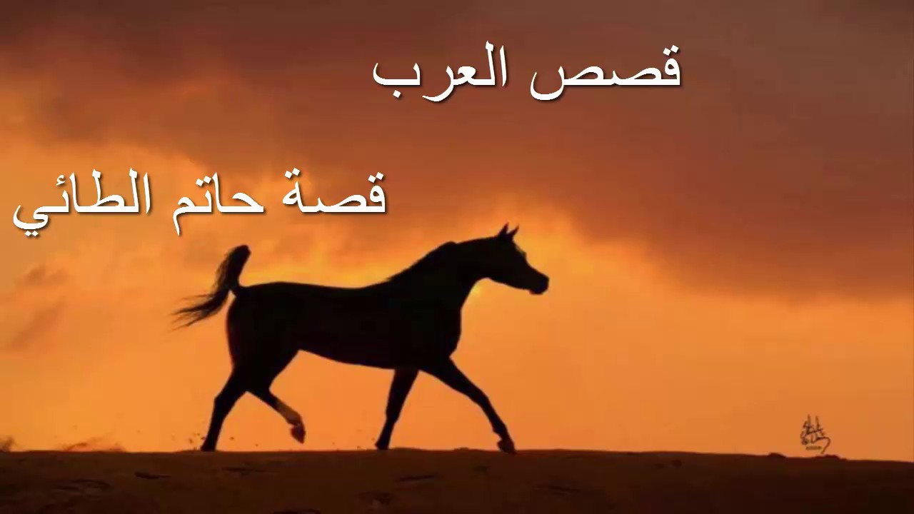 حاتم الطائي بحث