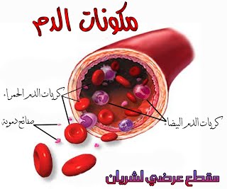 مكونات الدم