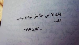 إنك لا تعي حقاً معني الموت الا حينما تعرف الحب .