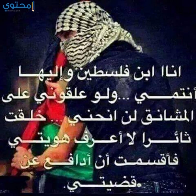 كلمات عن فلسطين