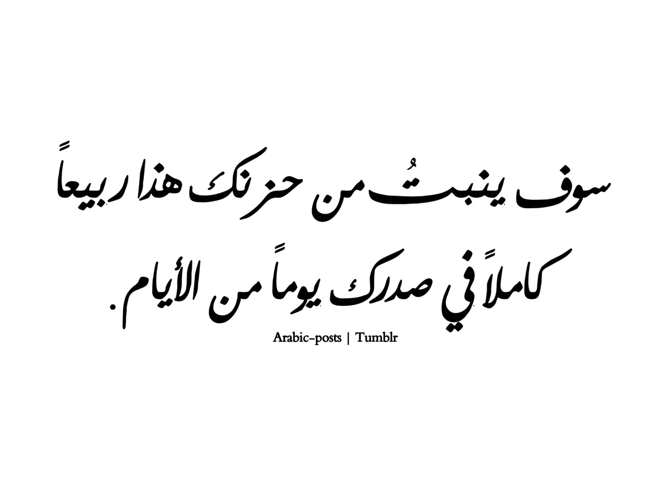 كلمات حكم ومواعظ واقتباسات المشاهير