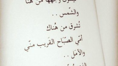 اروع حالات الواتس اب %D9%83%D9%84%D8%A7%D9%85-%D8%B1%D9%88%D8%B9%D8%A9-%D9%84%D9%84%D8%A3%D9%85-390x220