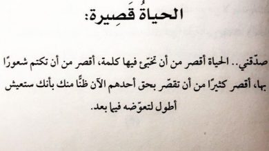 الحياة قصيرة ..