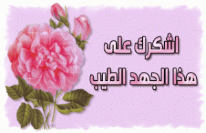 الإحتلال يغلق 430 محلا تجاريا بالقدس 3920-3-300x194