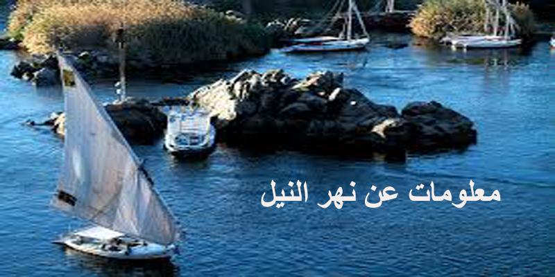 معلومات عن نهر النيل معلومات عامة عن أهمية نهر النيل في حياتنا