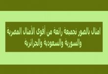 امثال بالصور تجميعة رائعة من أقوى الأمثال المصرية والسورية والجزائرية