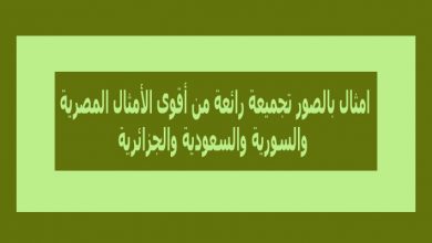 امثال بالصور تجميعة رائعة من أقوى الأمثال المصرية والسورية والجزائرية