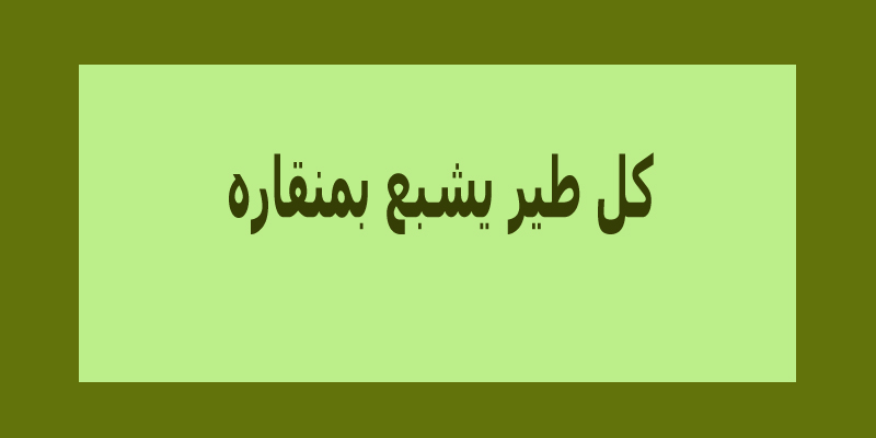 امثال بالصور تجميعة رائعة من أقوى الأمثال المصرية والسورية والجزائرية لاتفوتكم امثال-بالصور