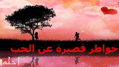 خواطر قصيرة عن الحب