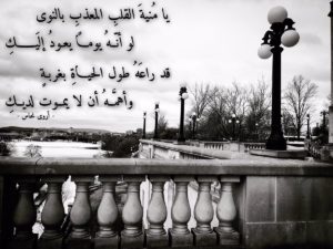 شعر عن حلب