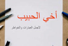 عبارا عن حمل الاخ 2019 حالا وا س اب عن حمل اخ ي 5bc6ccd228d