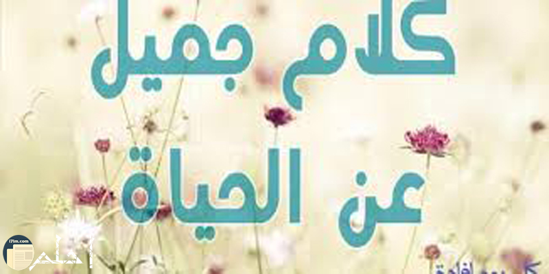 كلام جميل ومعبر ومؤثر عن الحياة