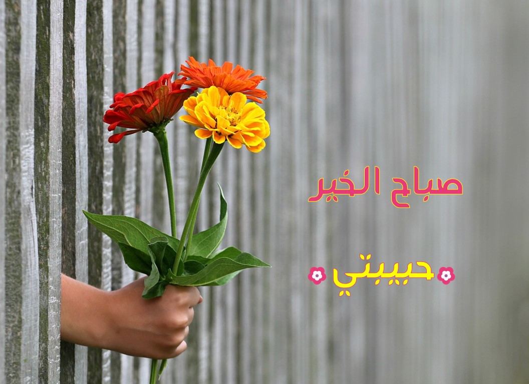 صباح الخير حبيبتي الغالية 50 رسالة رومانسية 2021
