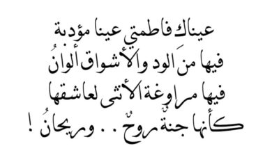 كلمات شعر حب قويه تجعل القلب يطير من الفرح عند سماعها