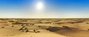 شعر حب بدوي قصير