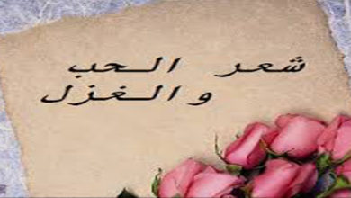 شعر حب جامد