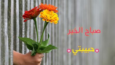 صباح الخير حبيبتي الغالية