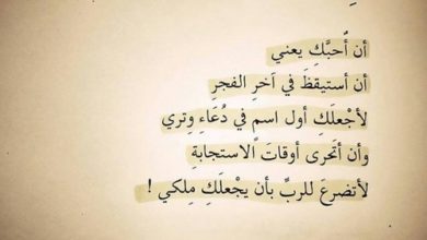 كلمات شعر حب