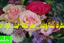 شعر حب وغزل وعشق