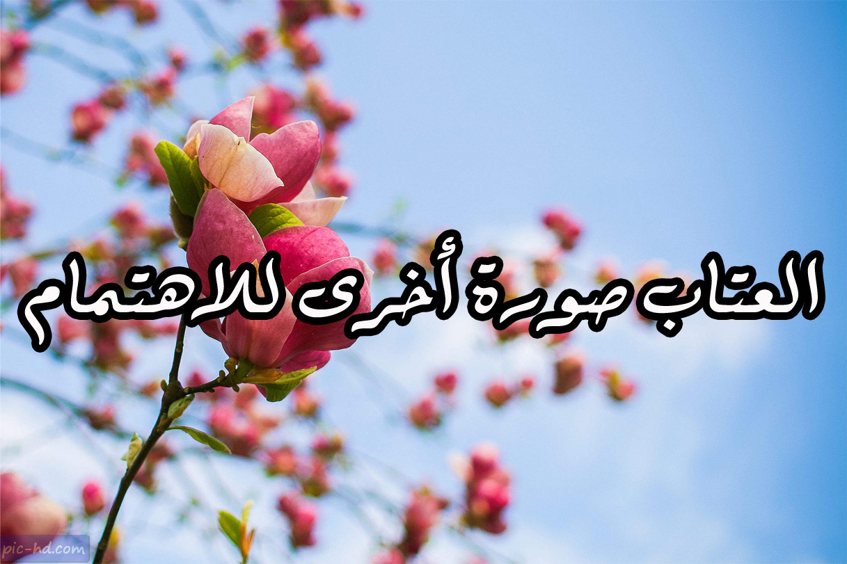 عتاب الحبيب لحبيبته كنج كونج