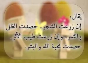 شعر نبطي 