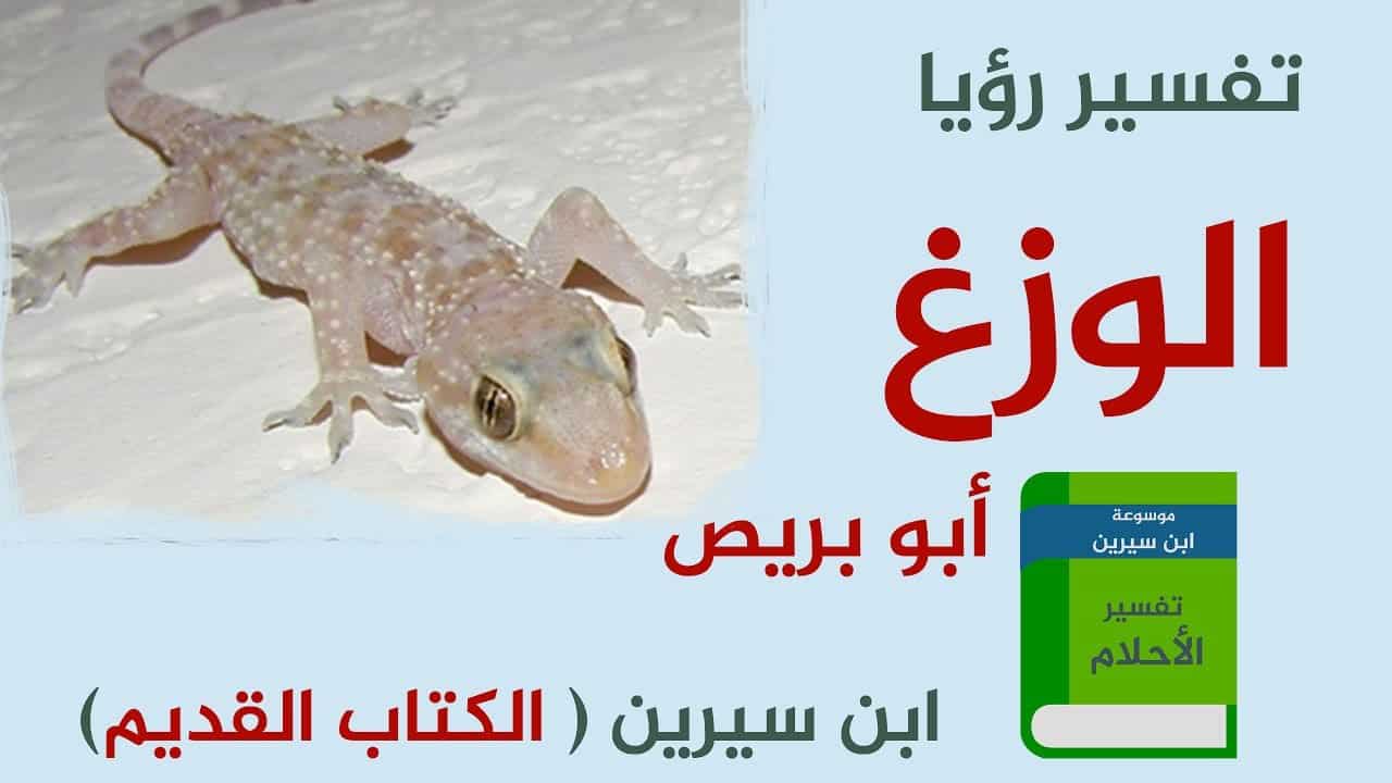 تفسير حلم الوزغ على الجسم