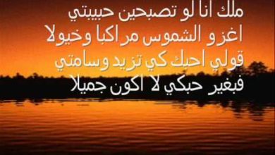 احلى رسائل شعر حب