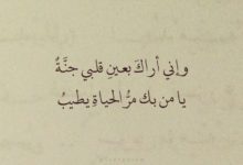 عبارات واتس اب جديدة