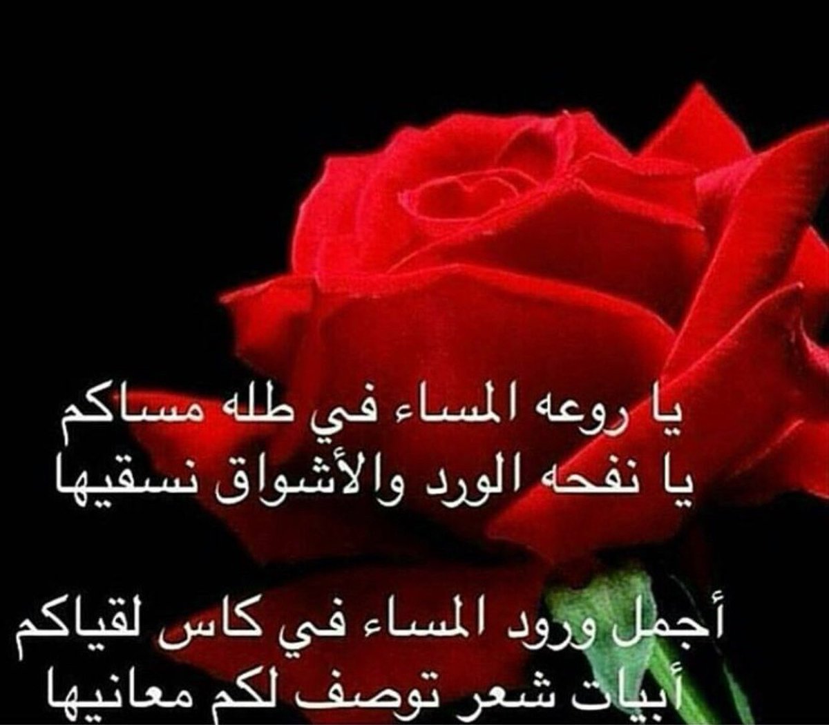 خواطر شعر تويتر