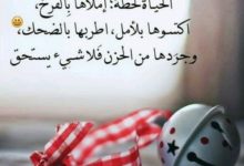 حالات رائعة