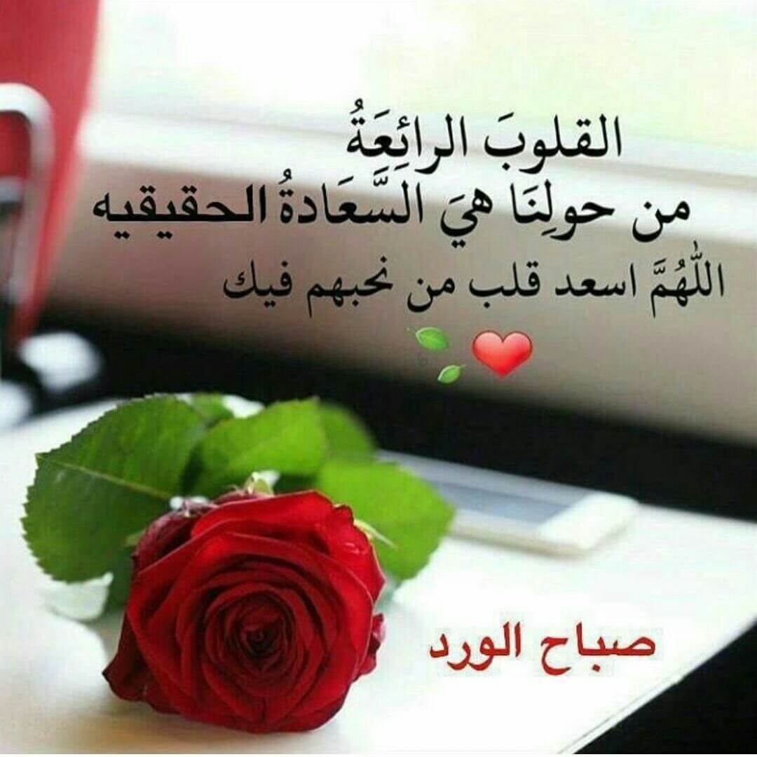 صباح الورد 