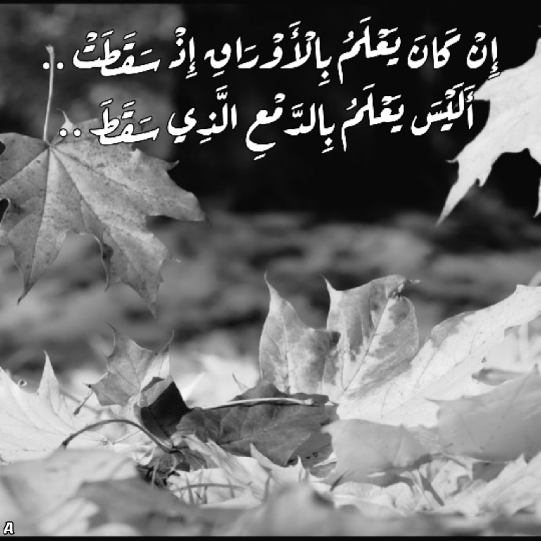 حالات واتس جديدة