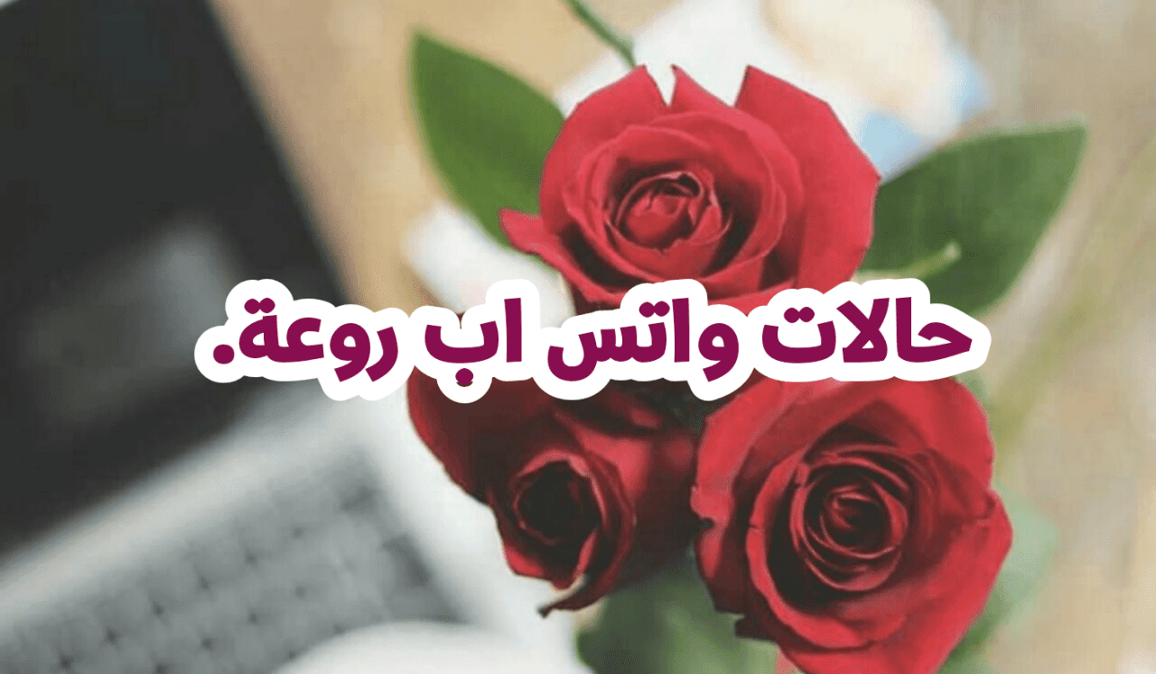 حالات واتس اب حلوة وروعة منوعة 2020