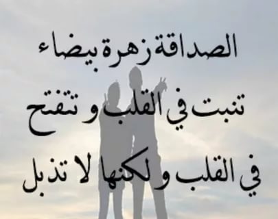 الصداقة زهرة