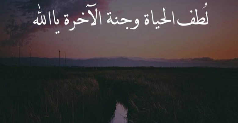 حالات عن الحياة